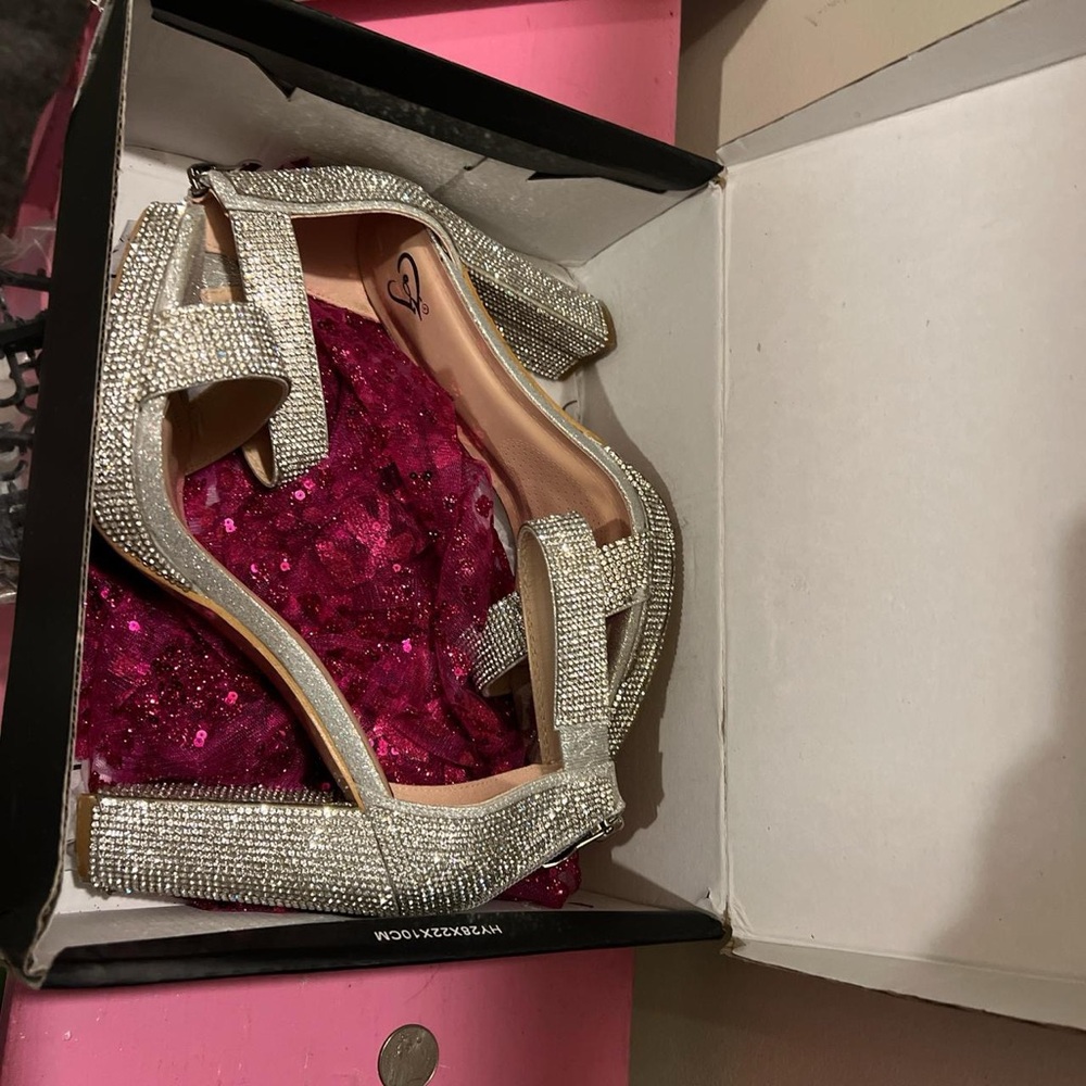 Windsor Sparkling Silver Heels
